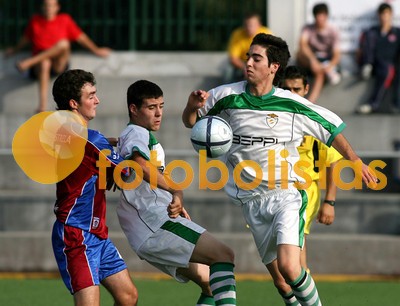Oliveirense-Arrifanense