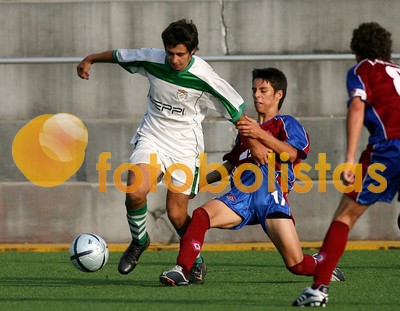 Oliveirense-Arrifanense