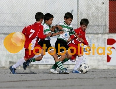 SJ Ver-Arrifanense Escolas B