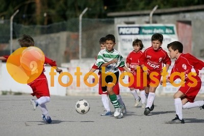 SJ Ver-Arrifanense Escolas B