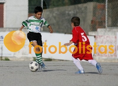 SJ Ver-Arrifanense Escolas B