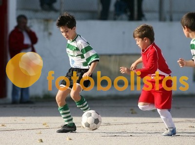 SJ Ver-Arrifanense Escolas B