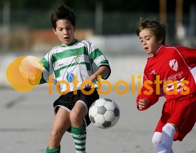 SJ Ver-Arrifanense Escolas B