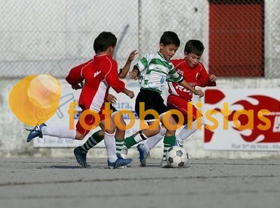 SJ Ver-Arrifanense Escolas B