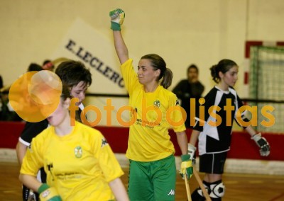 Académico da Feira-Sanjoanense