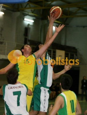 Grib-Universidade Aveiro