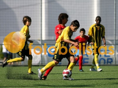 Oliveirense-Beira Mar