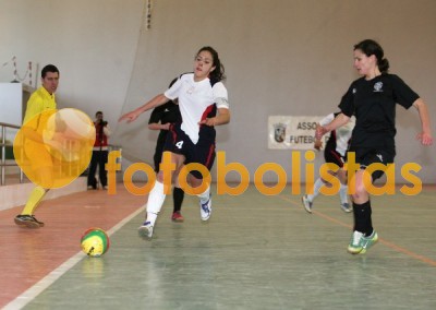 Vilamaiorense-Nova Semente