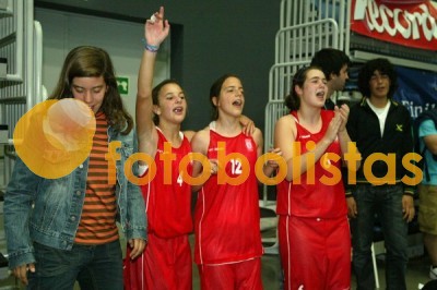 Aveiro em Festa