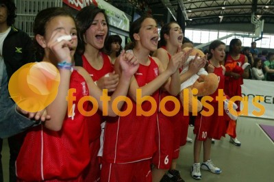 Aveiro em Festa