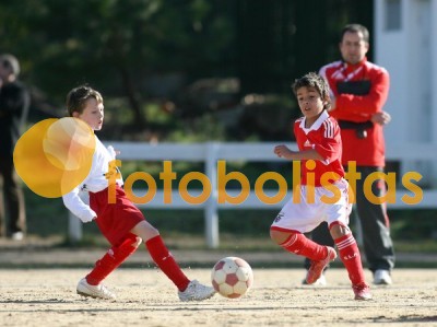 Soutelo-Casa Benfica Estarreja