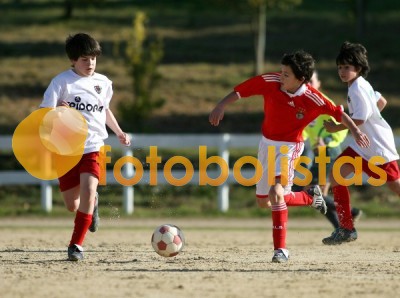 Soutelo-Casa Benfica Estarreja