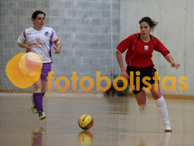 Vilamaiorense-Veiros