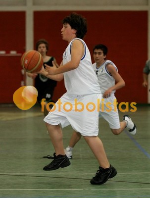 Grib-FC Porto