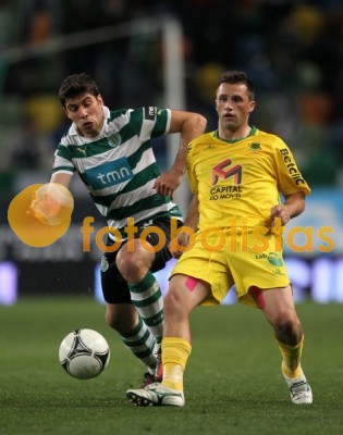 Insua