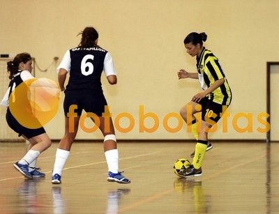 Vilamaiorense-Lourosa