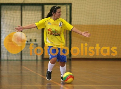 Escola de Gondomar-Estrelas do Feijó
