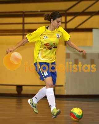 Escola de Gondomar-Estrelas do Feijó