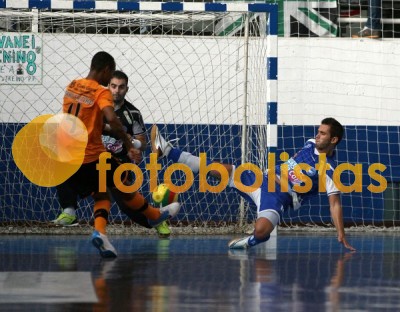Modicus-Sporting