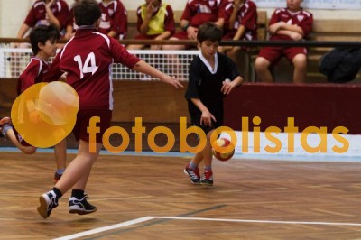 Andebol: São Bernardo - Artística Avanca (Minis)