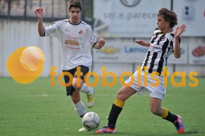 Lusitano Vildemoinhos-Penalva do Castelo