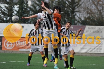 Lusitano Vildemoinhos-Penalva do Castelo