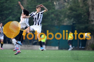 Lusitano Vildemoinhos-Penalva do Castelo