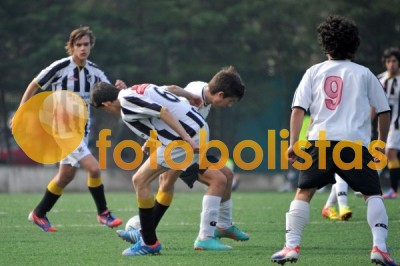 Lusitano Vildemoinhos-Penalva do Castelo