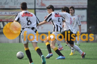 Lusitano Vildemoinhos-Penalva do Castelo