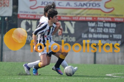 Lusitano Vildemoinhos-Penalva do Castelo
