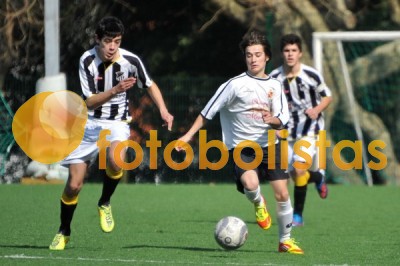 Lusitano Vildemoinhos-Penalva do Castelo