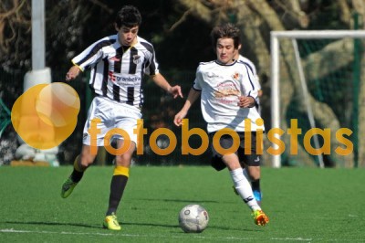 Lusitano Vildemoinhos-Penalva do Castelo