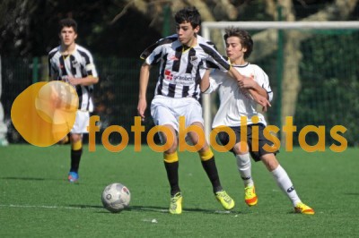 Lusitano Vildemoinhos-Penalva do Castelo