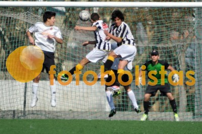 Lusitano Vildemoinhos-Penalva do Castelo