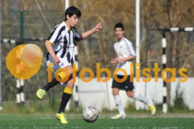 Lusitano Vildemoinhos-Penalva do Castelo