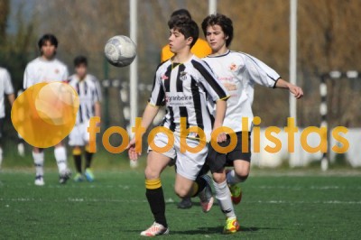 Lusitano Vildemoinhos-Penalva do Castelo