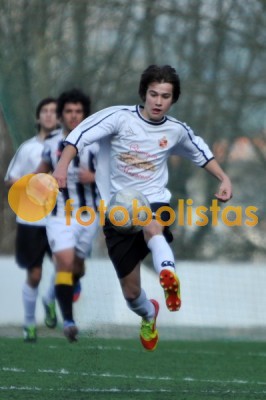 Lusitano Vildemoinhos-Penalva do Castelo