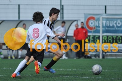 Lusitano Vildemoinhos-Penalva do Castelo