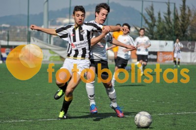 Lusitano Vildemoinhos-Penalva do Castelo