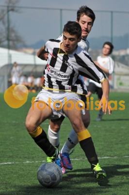 Lusitano Vildemoinhos-Penalva do Castelo