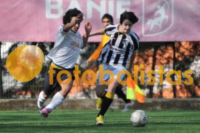 Lusitano Vildemoinhos-Penalva do Castelo