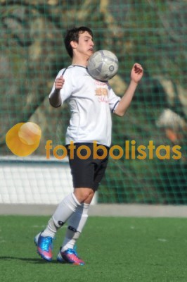 Lusitano Vildemoinhos-Penalva do Castelo