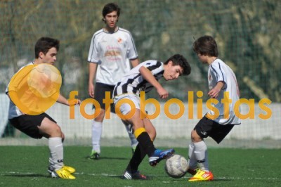 Lusitano Vildemoinhos-Penalva do Castelo