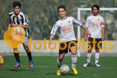 Lusitano Vildemoinhos-Penalva do Castelo