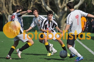 Lusitano Vildemoinhos-Penalva do Castelo