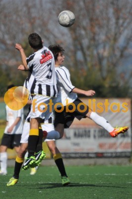 Lusitano Vildemoinhos-Penalva do Castelo