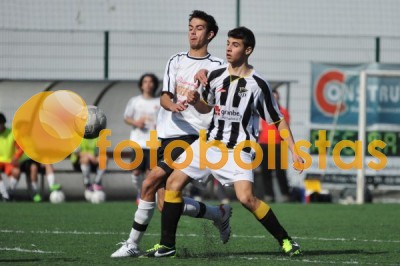 Lusitano Vildemoinhos-Penalva do Castelo