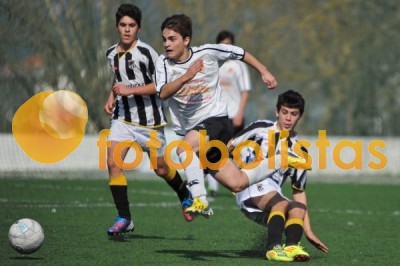 Lusitano Vildemoinhos-Penalva do Castelo