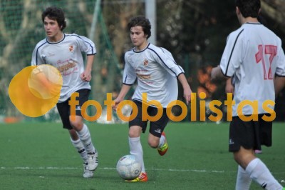 Lusitano Vildemoinhos-Penalva do Castelo