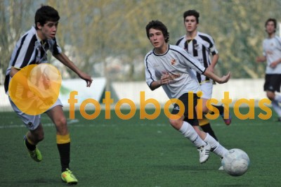 Lusitano Vildemoinhos-Penalva do Castelo